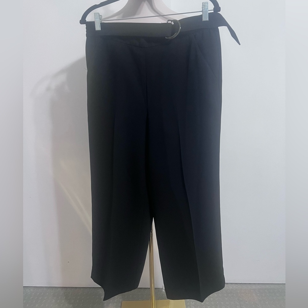 Ann Taylor Pants (#041)